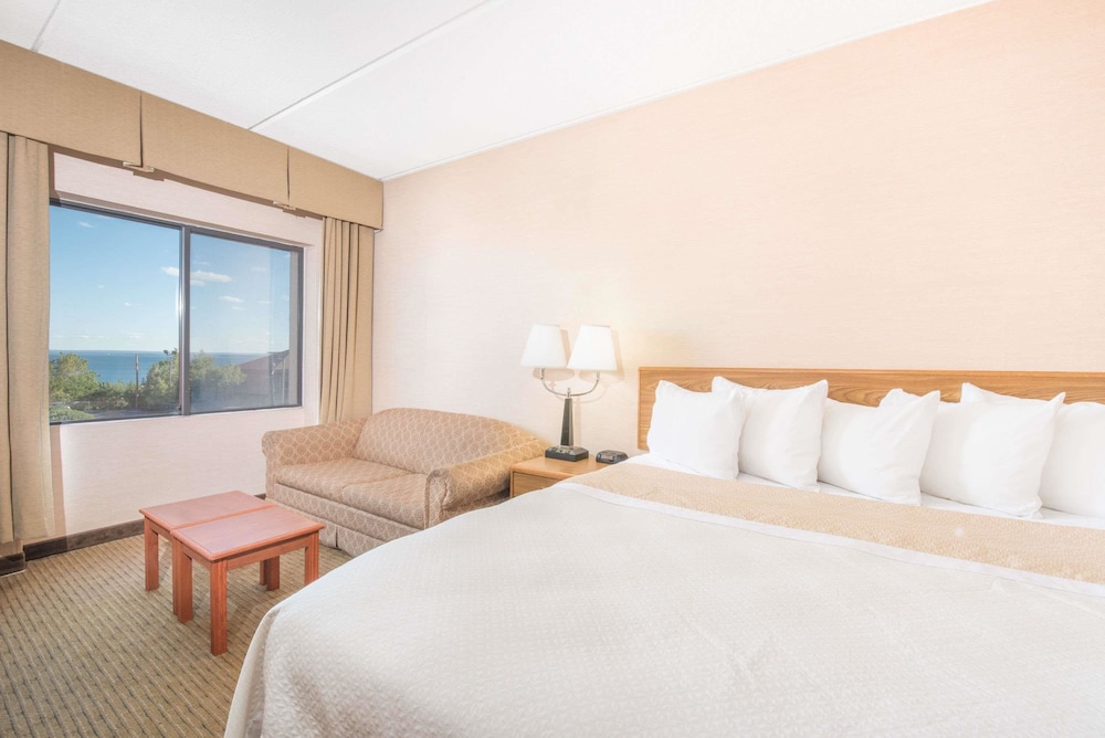 Room, 1 King Bed, Non Smoking, Lake View photo 3