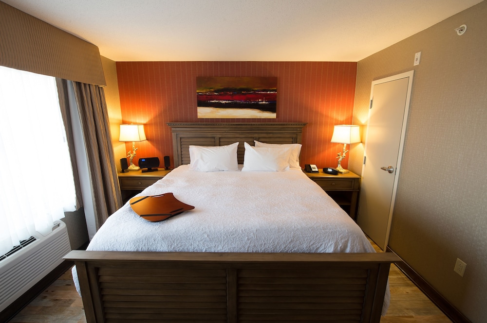 Suite with King Bed & Living Room photo 2