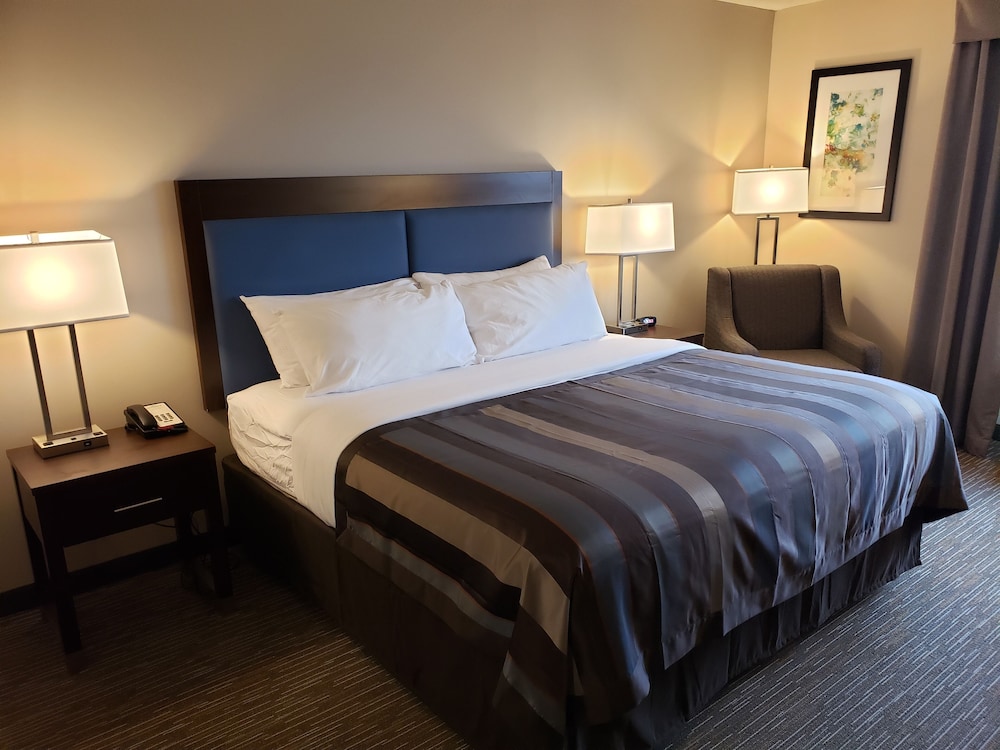 Suite, 1 King Bed, Non Smoking - Photo 3
