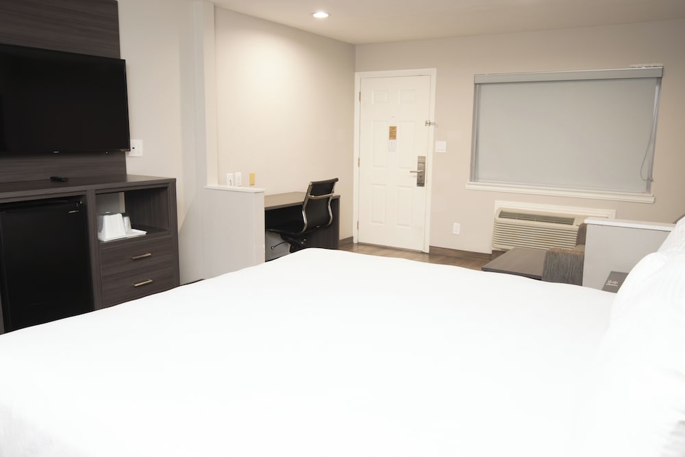 Room, 1 King Bed, Non Smoking photo 1
