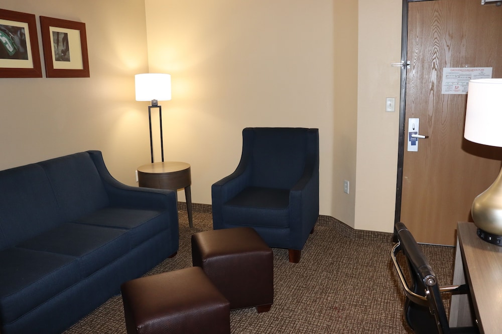 Suite, 1 King Bed with Sofa bed, Non Smoking (Upgrade) - Photo 9