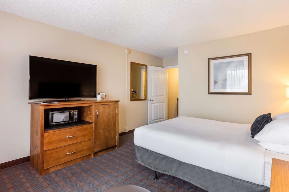 Room, 1 King Bed, Non Smoking photo 2