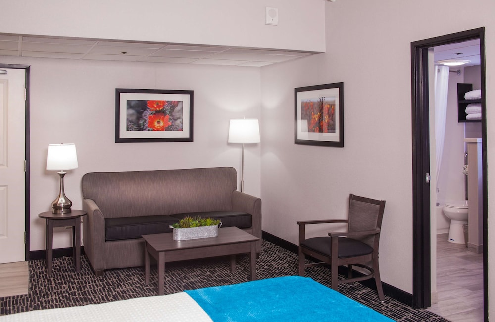 Standard Room, 1 King Bed with Sofa bed, Non Smoking, Kitchenette (with Sofabed) photo 3