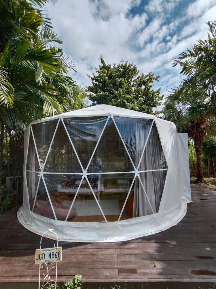 Family Yurt Tent Garden View - Photo 9