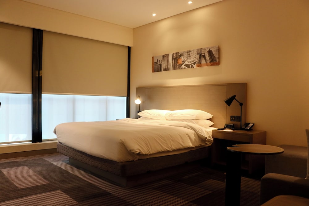 Room, 1 King Bed with Sofa bed, City View photo 2