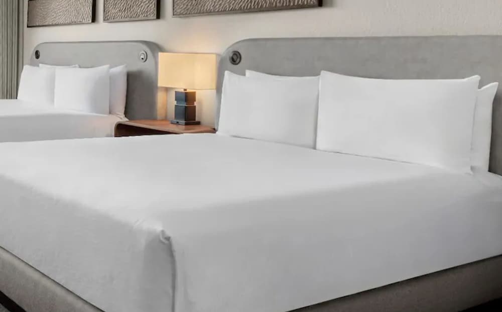 Accessible 2 King Beds photo 3