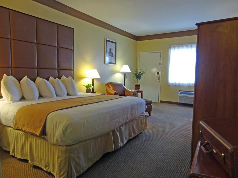 Comfort Single Room photo 1