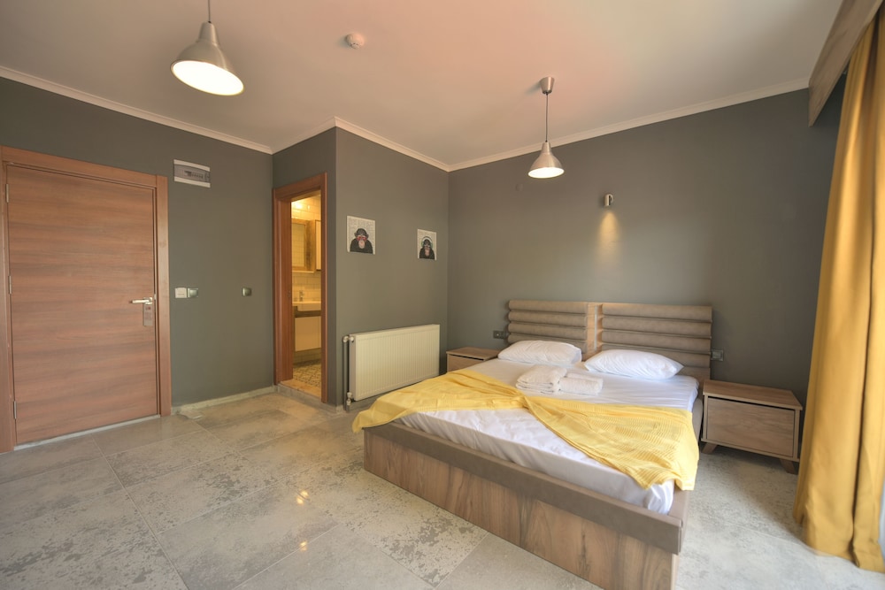Deluxe Double Room photo 1