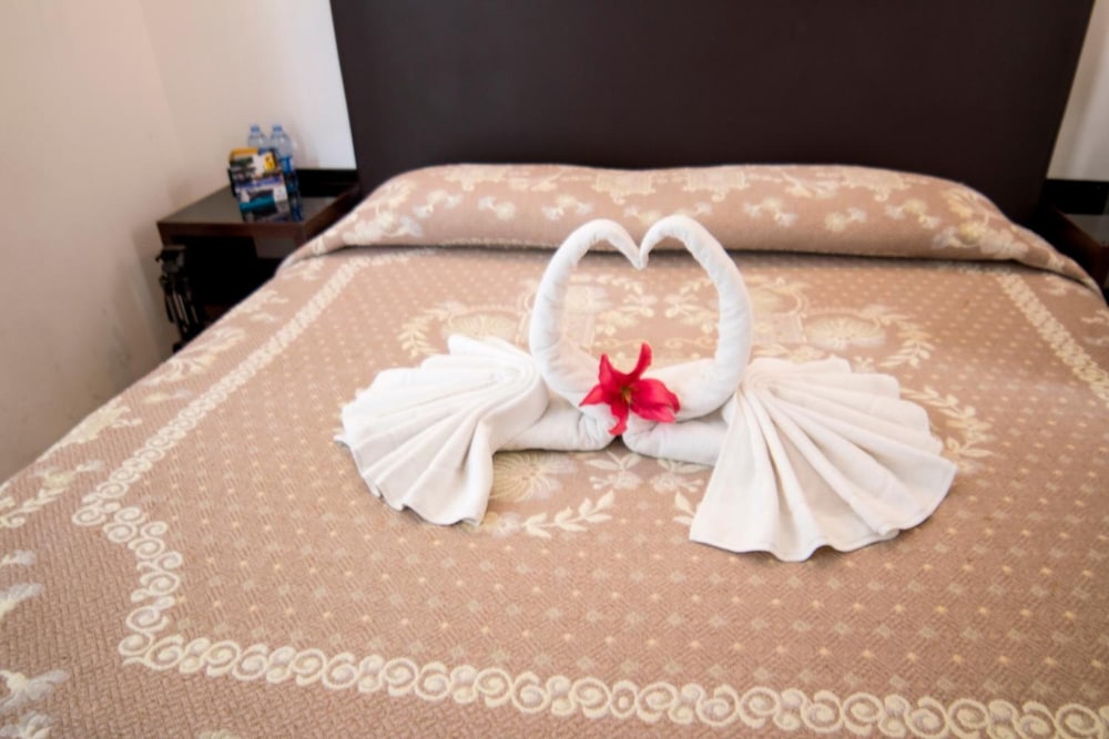 Standard Double Room, 1 King Bed photo 2