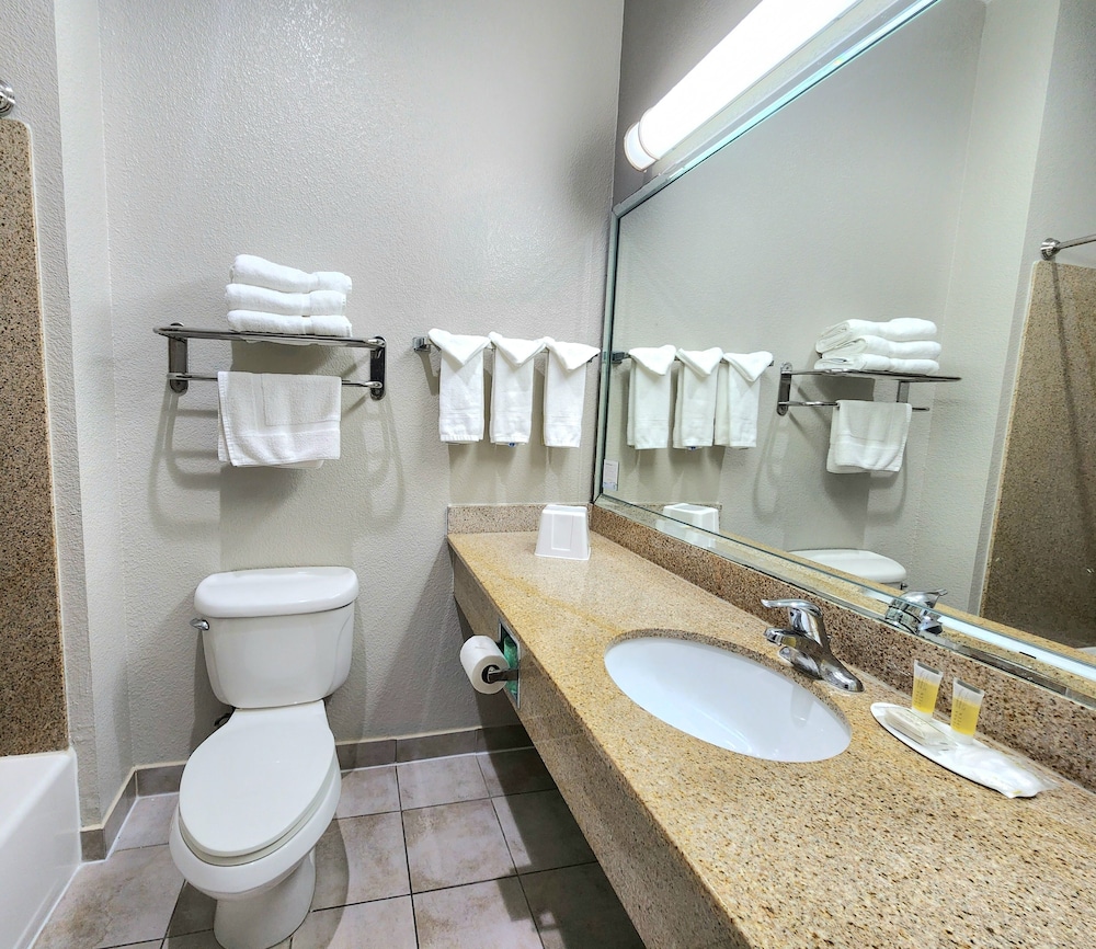 Efficiency, 1 Bedroom, Non Smoking, Kitchenette - Photo 4