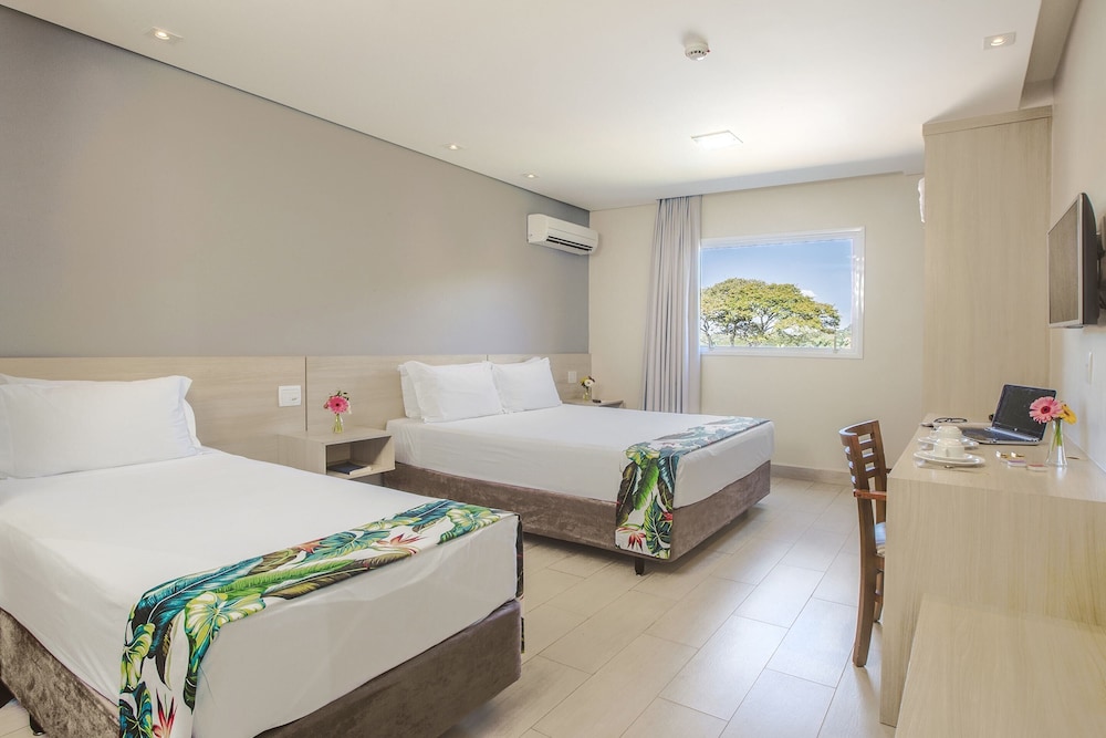 Triple Room photo 1