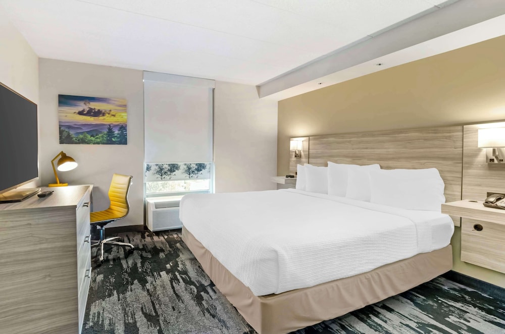 Suite, 1 King Bed, Non Smoking, Refrigerator & Microwave photo 2