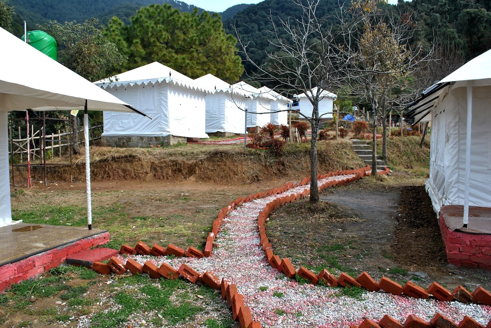 Swiss Luxury Tent photo 3