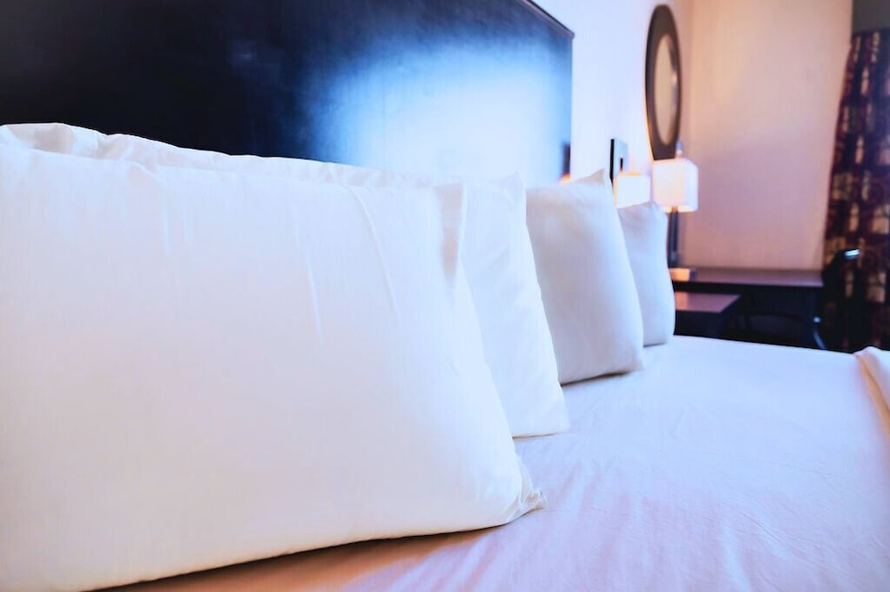 Executive Room, 1 King Bed, Accessible photo 1