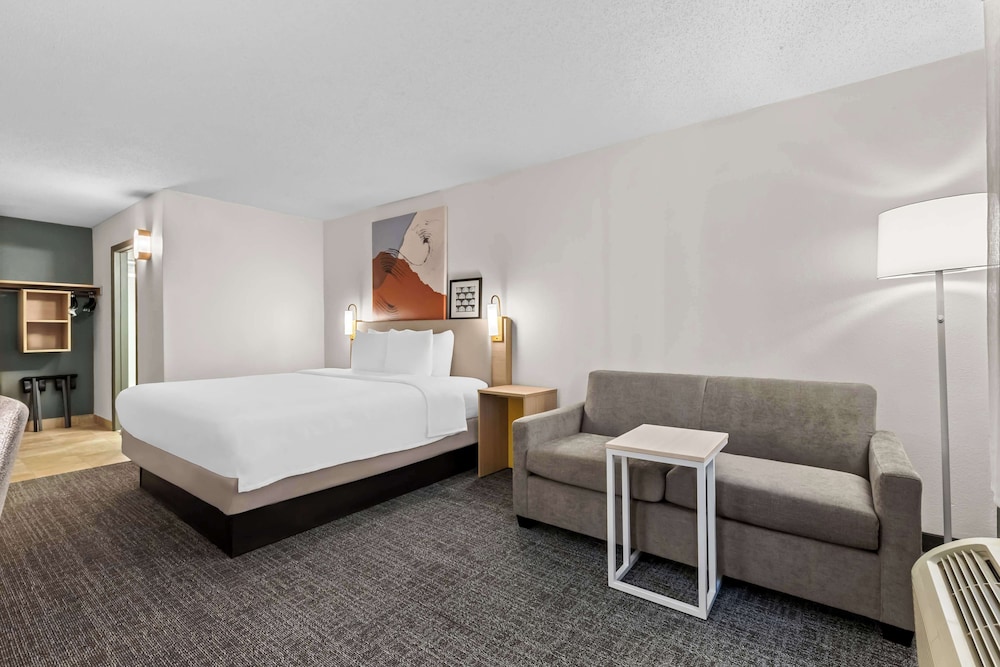 Room, 1 King Bed photo 1