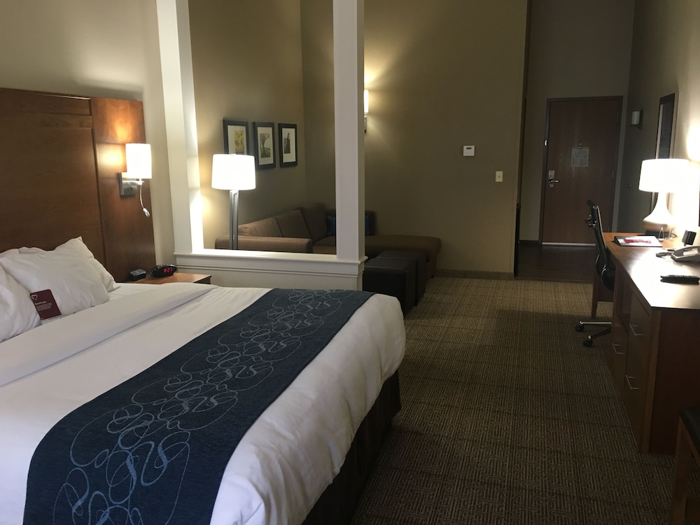 Suite, 1 King Bed - Photo 8