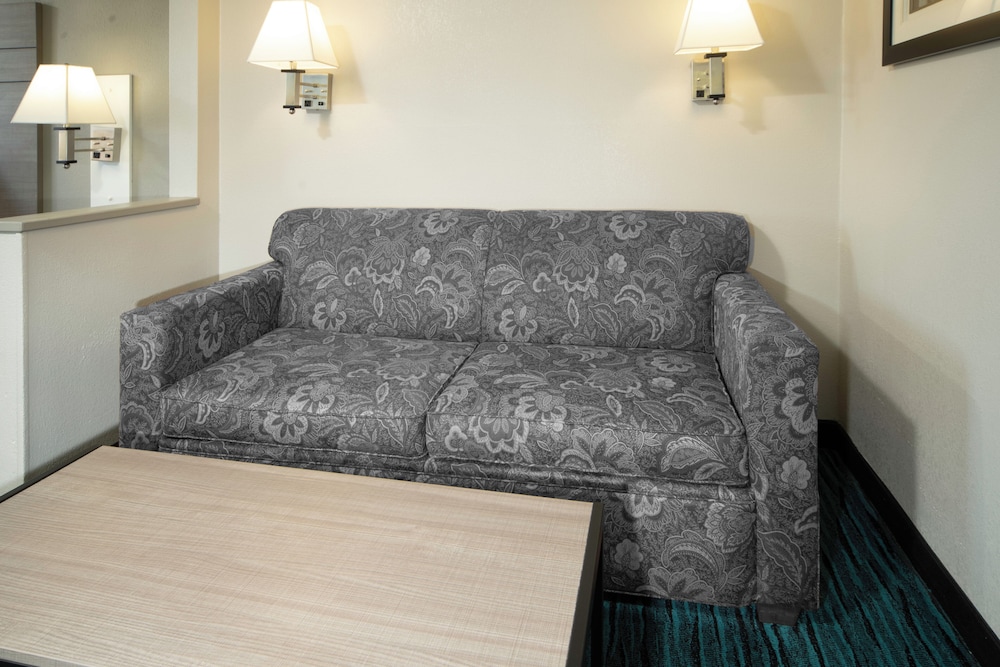 Suite, 1 King Bed with Sofa bed photo 3