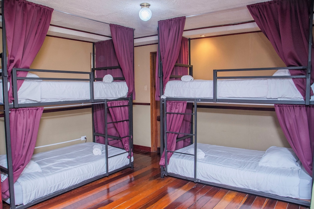 Basic Shared Dormitory (8 Beds)