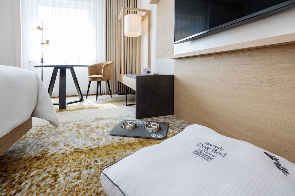 Deluxe Room, 1 Twin Bed - Photo 2