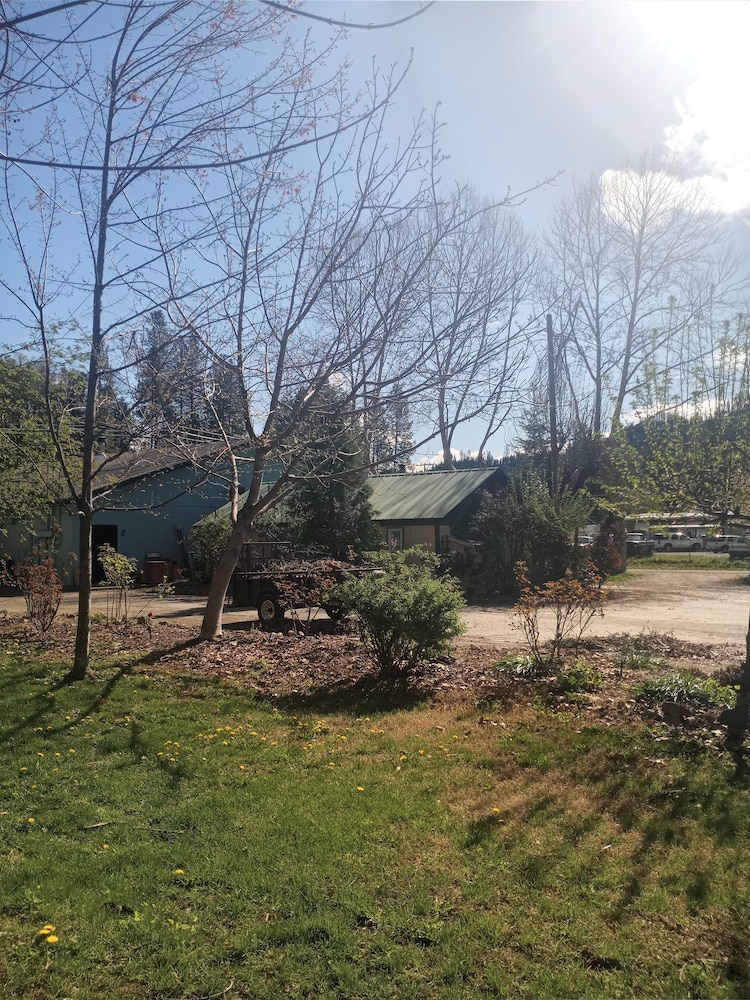 Cabin, Non Smoking, Patio photo 3