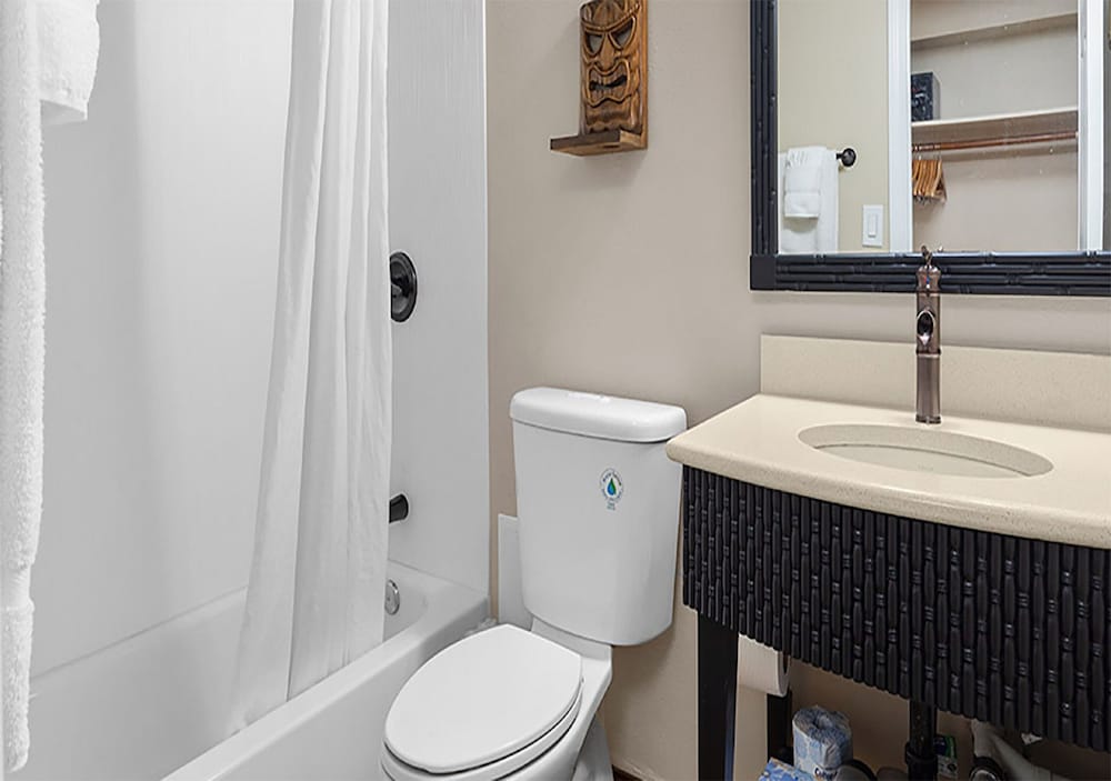 Studio, Kitchenette - Photo 4