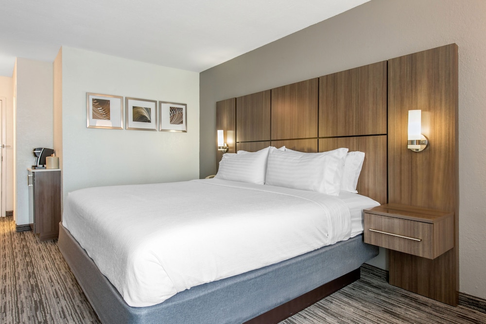 Standard Room, 1 King Bed, Accessible (Communications, Roll-In Shower) - Photo 4