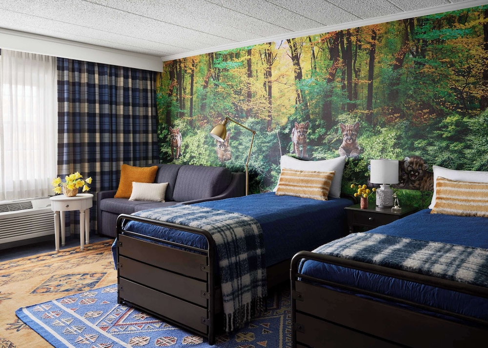 Family Room, 1 King Bed photo 1