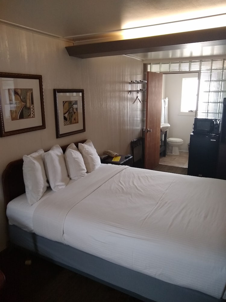 Comfort Single Room photo 1