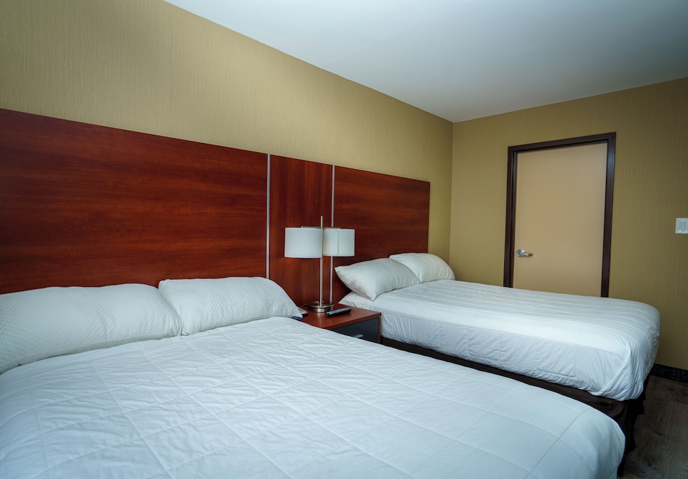 Business Double or Twin Room photo 3