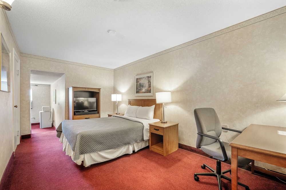 Deluxe Quadruple Room photo 3