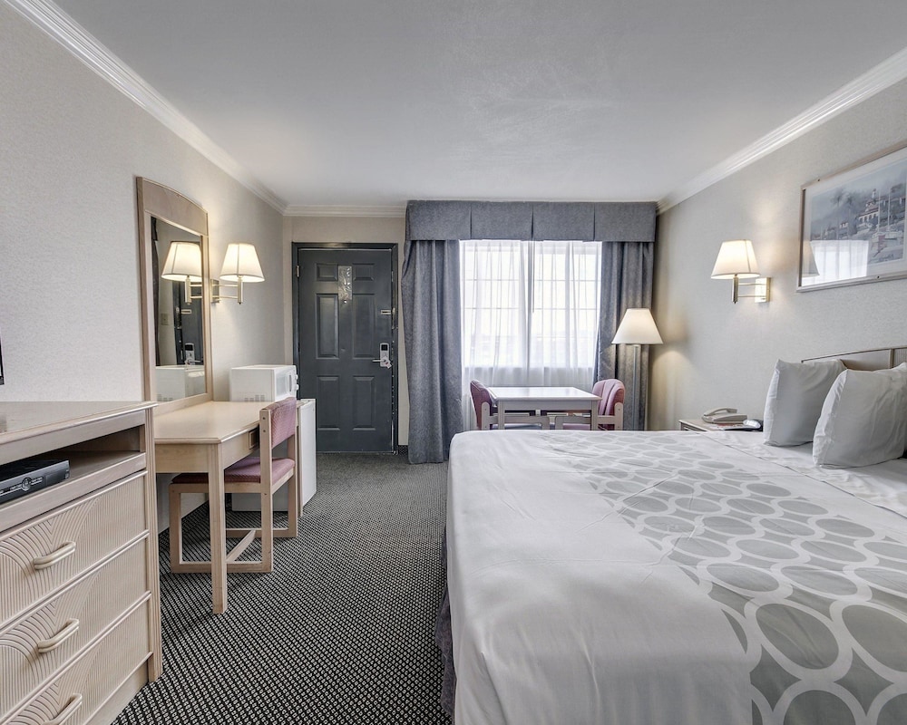 Standard Room, 1 King Bed, Non Smoking - Photo 1