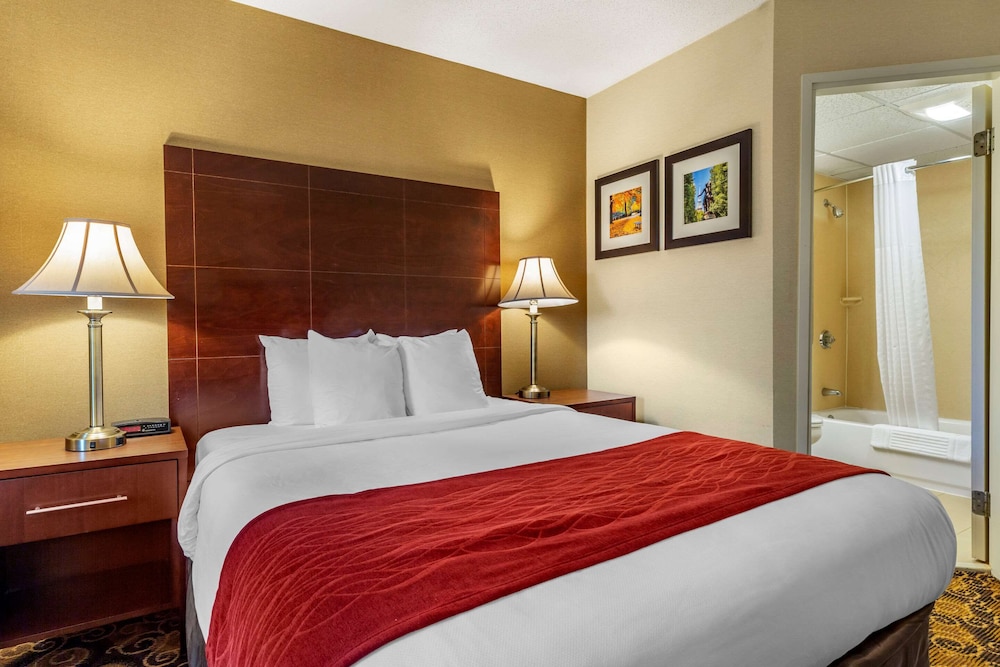 Standard Room, 1 Queen Bed, Non Smoking - Photo 6