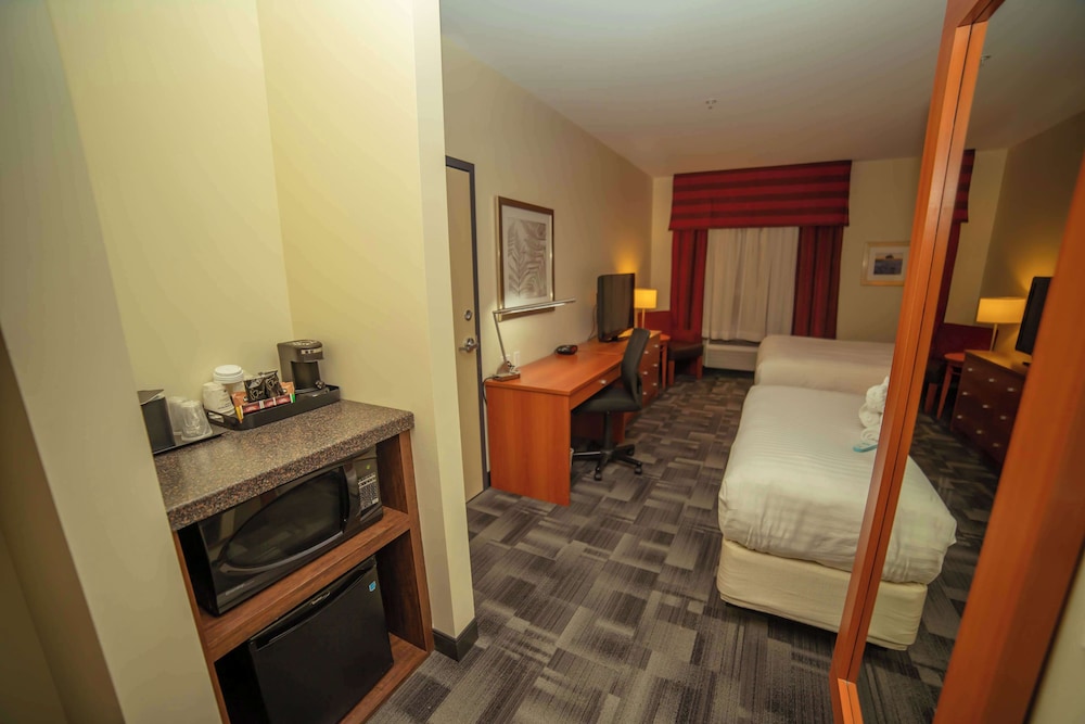 Standard Room, Multiple Beds, Non Smoking