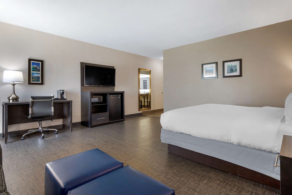 Deluxe Suite, 1 King Bed with Sofa bed, Non Smoking - Photo 12