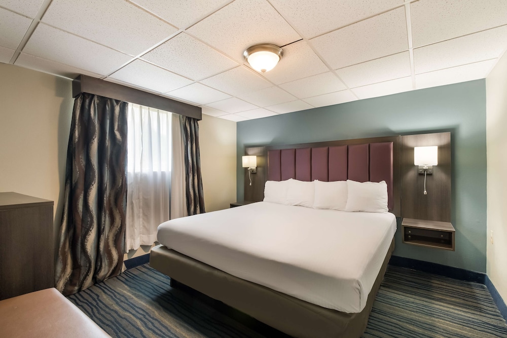 Suite, 1 King Bed, Kitchenette (with Sofabed) photo 1