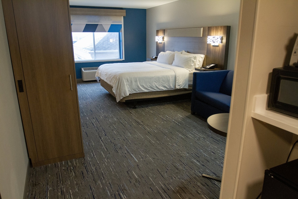 Suite, 1 King Bed with Sofa bed