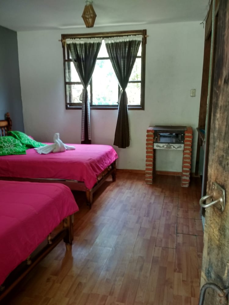 Quadruple Room, 2 Double Beds, Garden View photo 1