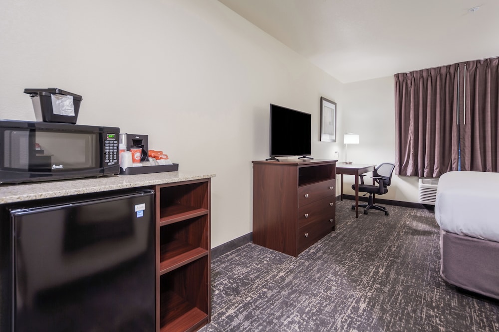 Room, 1 King Bed, Non Smoking (hearing and vision impaired) - Photo 3