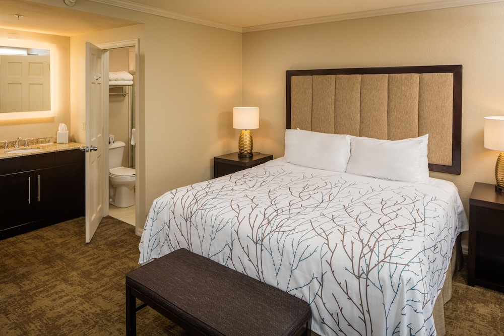 Standard Room, 1 King Bed, Lake View, Courtyard Area photo 1