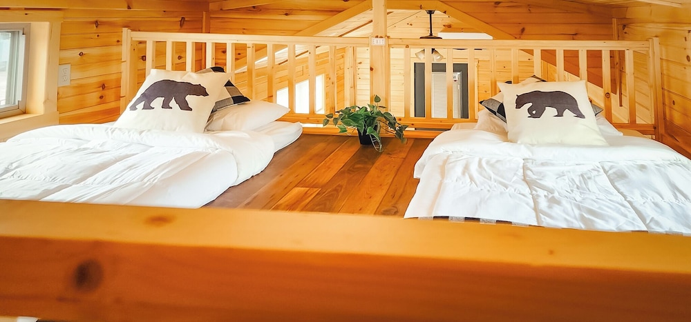 Spruce Cabin photo 2