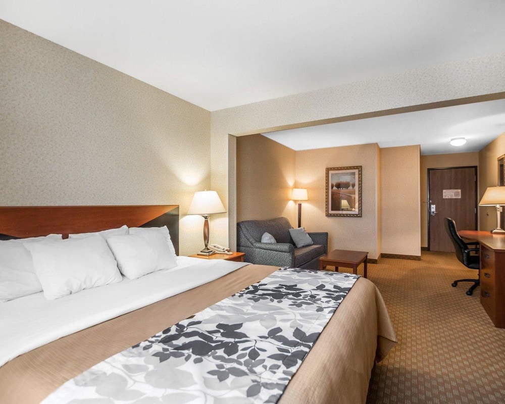 Suite, 1 King Bed, Non Smoking photo 3
