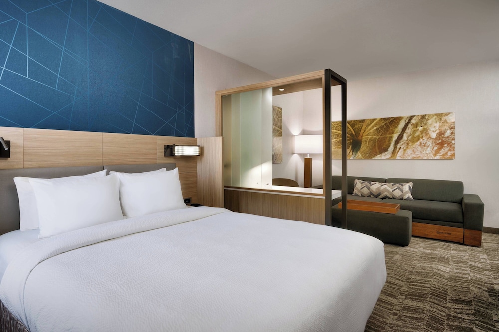 Suite, 1 King Bed - Photo 3
