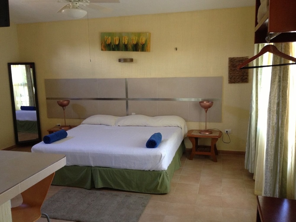 Suite, 1 King Bed photo 1