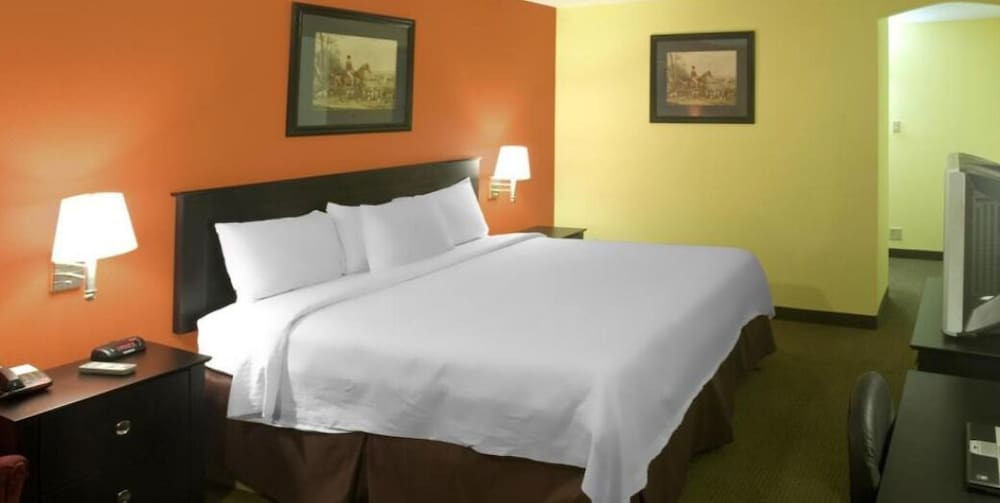 Room, 1 King Bed, Non Smoking - Photo 1