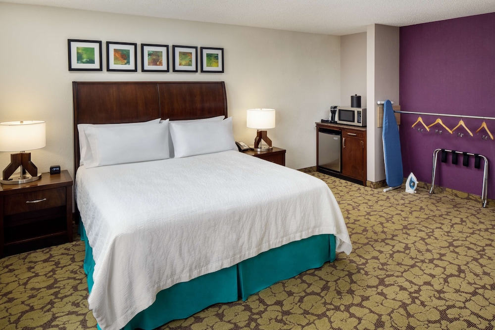 Room, 1 King Bed, Accessible - Photo 2