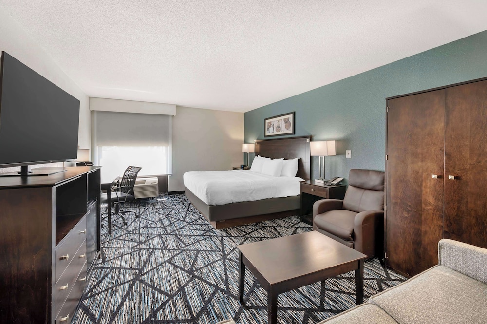 Standard Room, 1 King Bed, Accessible, Non Smoking (Walk-in Shower;with Sofabed) - Photo 9