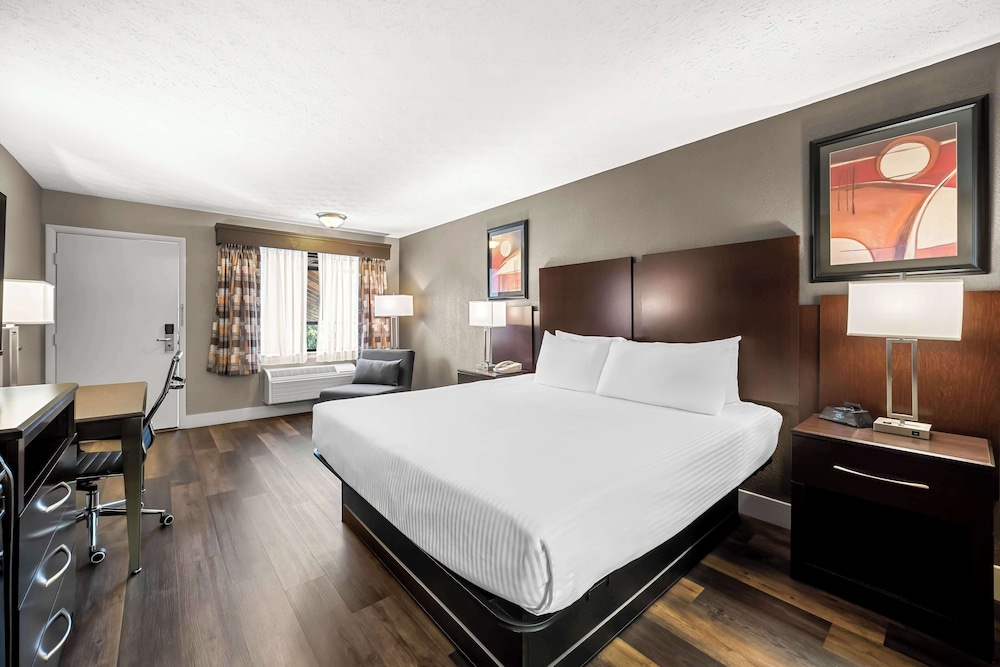 Standard Room, 1 King Bed, Accessible, Non Smoking - Photo 3