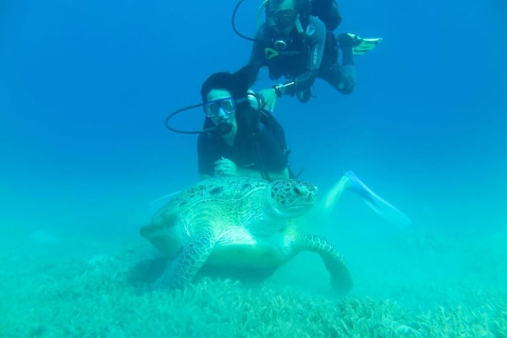 Deep Blue Dive Experience thumbnail 5