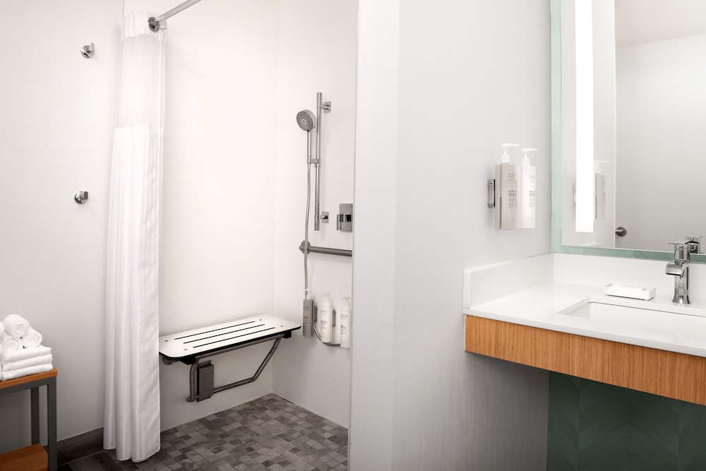 King Mobility/Hearing Accessible w/ Roll-in Shower - Photo 4