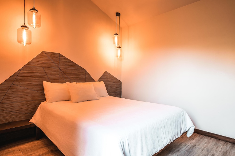 Basic Room, 1 Bedroom photo 3